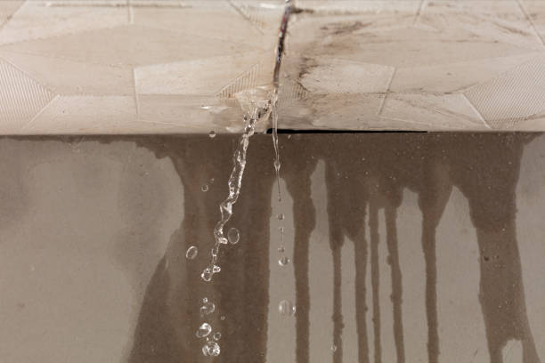 Professional Flood Damage Cleanup technician working in Chesaning, MI
